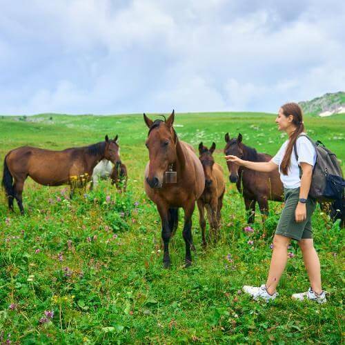 Фото: от партнёра
