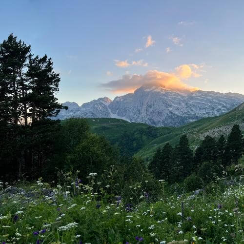 Фото: от партнёра