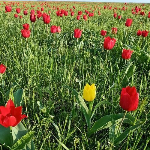 Фото от партнёра.