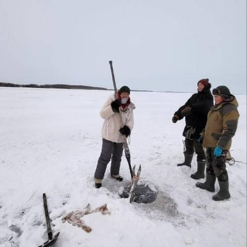 Источник: от партнёра          