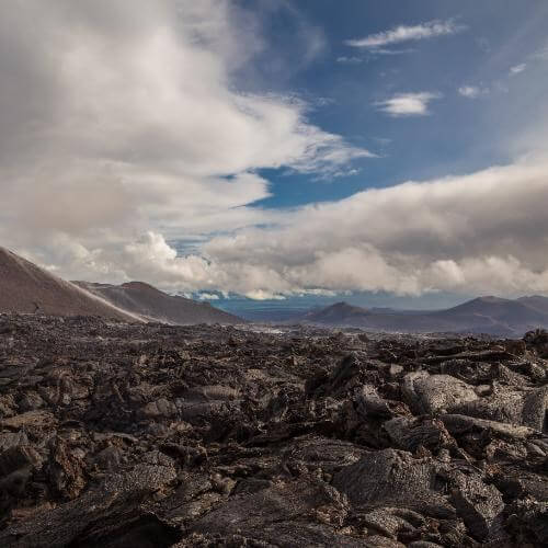 Фото от партнёра.