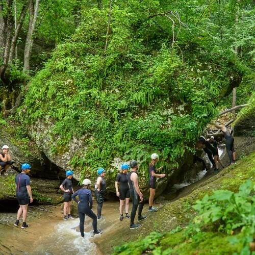 Фото: от партнёра.