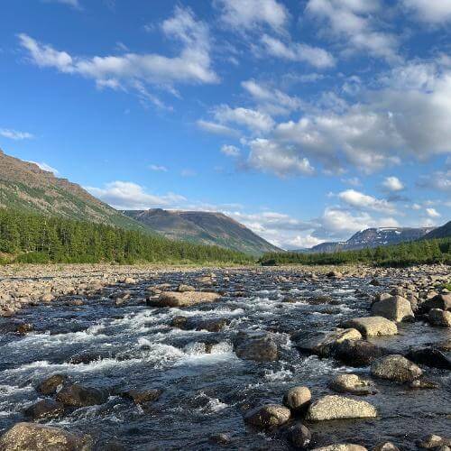 Фото: от партнера