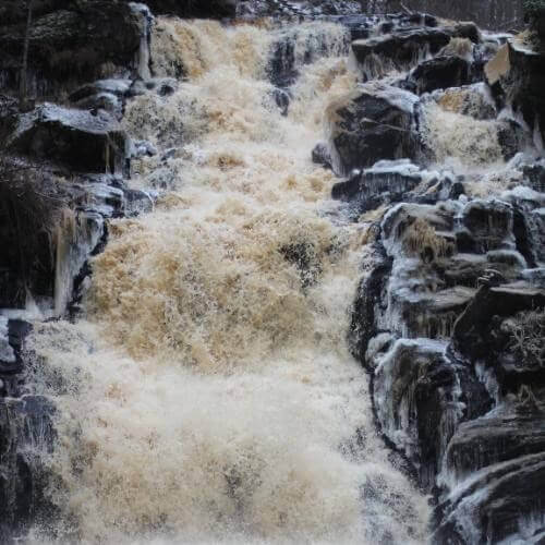 Фото от партнёра.