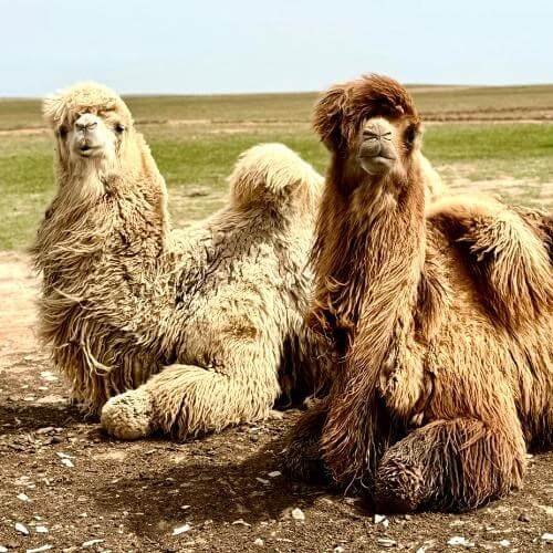 Фото от партнёра.