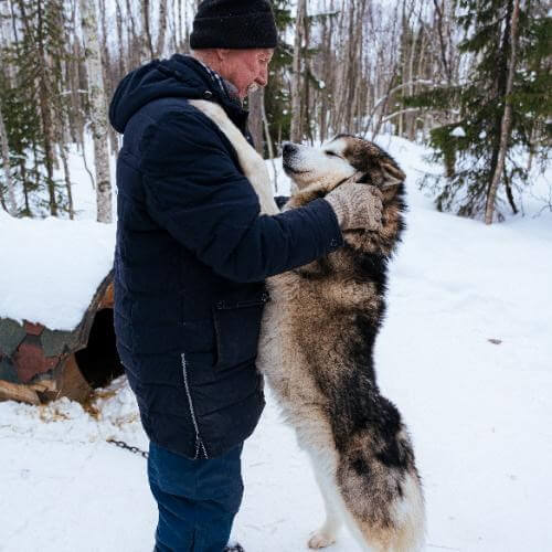 Саамская деревня. Фото от партнёра.