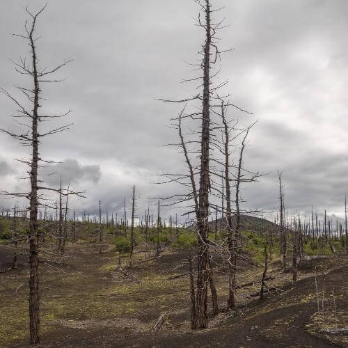 Фото от партнёра.