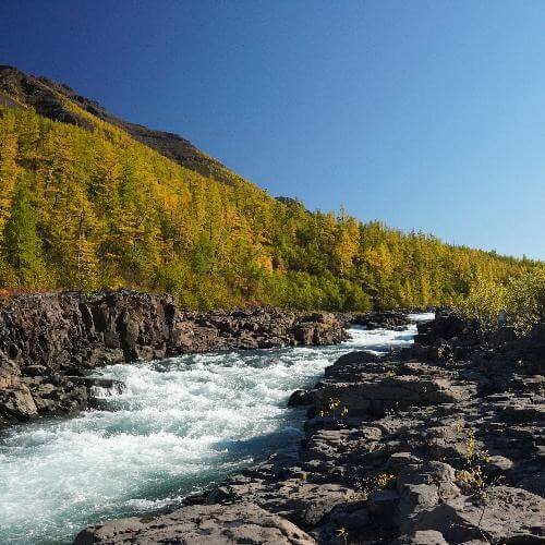 Источник: от партнёра