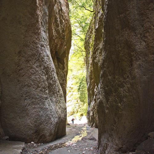 Фото от партнёра.