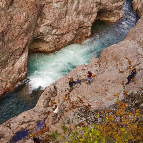 Фото: от партнёра.