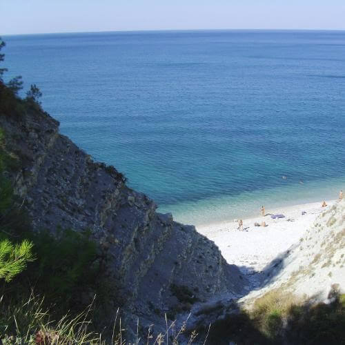 Фото: Kemal KOZBAEV, лицензия Creative Commons Attribution-ShareAlike 4.0 (CC BY-SA 4.0).