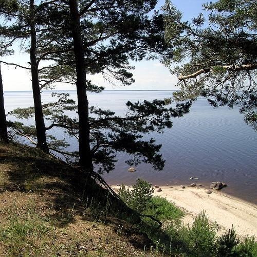 Фото: Michael Karavanov, CC BY-SA 3.0 https://creativecommons.org/licenses/by-sa/3.0