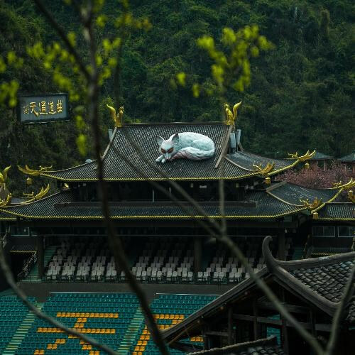 Photo by Sergio Kian on Unsplash