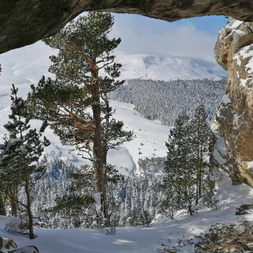 Фото от партнёра.