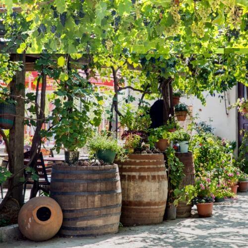 Фото от партнёра.