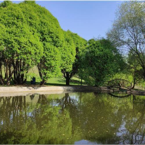 Фото: от партнера