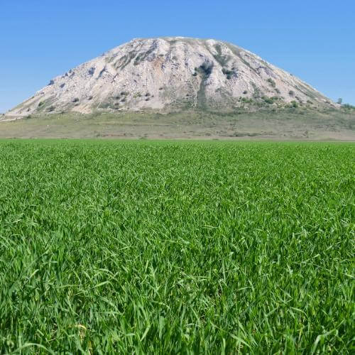 Шихан Торатау. Фото: Tsibin Konstantin, CC BY 3.0 https://creativecommons.org/licenses/by/3.0, via Wikimedia Commons