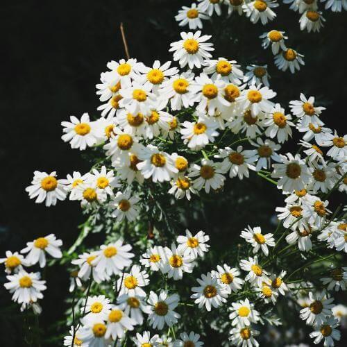 Источник: Unsplash