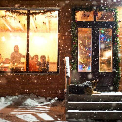 Фото от партнёра.