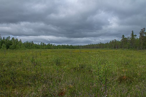 Фото: The-city-not-present (Andrey Putilov), CC BY-SA 4.0 https://creativecommons.org/licenses/by-sa/4.0, via Wikimedia Commons