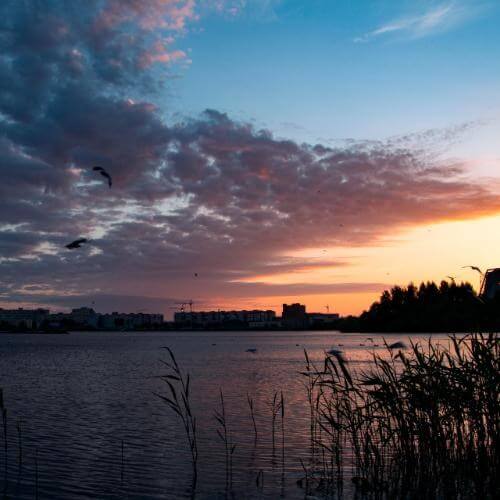 Фото: Озеро Театральное, Северодвинск, автор: 	discriminating discriminant / Wikimedia Commons, лицензия CC0 1.0 Universal Public Domain Dedication