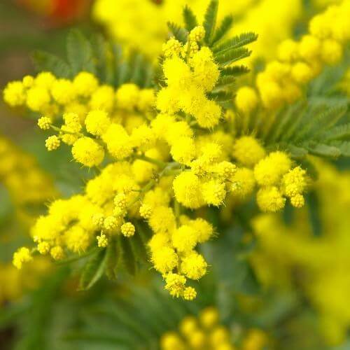 Источник: Pixabay