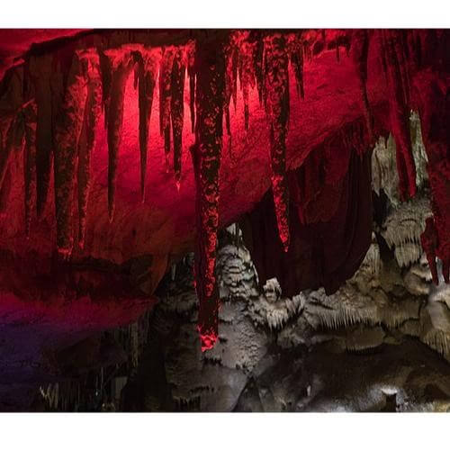 Источник: Alexey Komarov, CC BY-SA 4.0 https://creativecommons.org/licenses/by-sa/4.0, via Wikimedia Commons