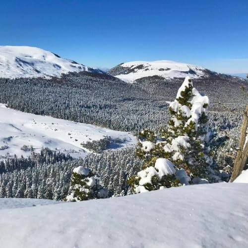 Курджипс. Фото от партнёра.