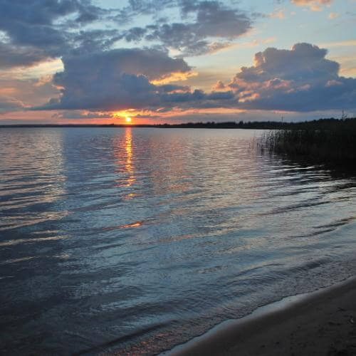 Фото: Chystakhvalau Uladzimir, CC BY-SA 4.0 https://creativecommons.org/licenses/by-sa/4.0, via Wikimedia Commons