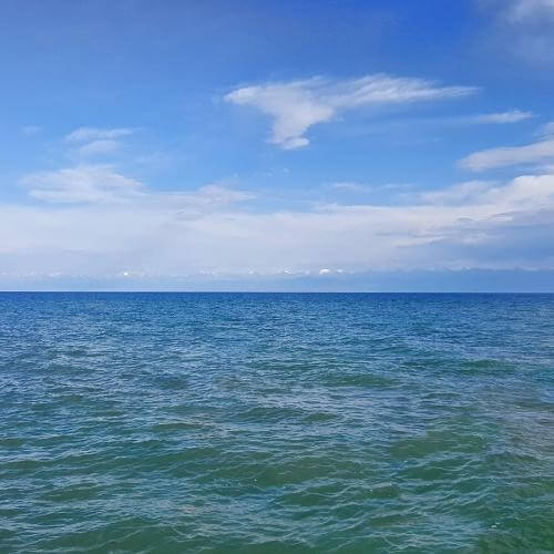 Фото от партнёра.