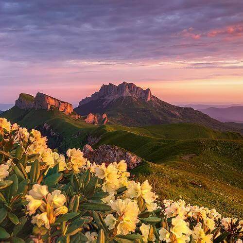 Фото: Altushkin, CC BY-SA 4.0 https://creativecommons.org/licenses/by-sa/4.0, via Wikimedia Commons