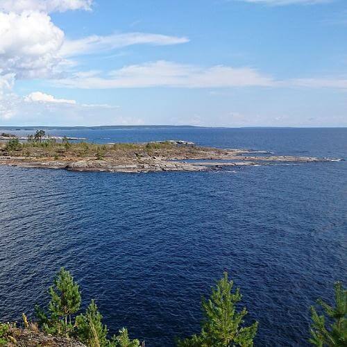 Фото: Leonid Evdokimov, CC BY-SA 3.0 https://creativecommons.org/licenses/by-sa/3.0, via Wikimedia Commons