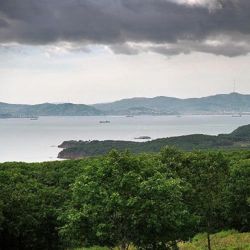 Фото: Vrangel Bay (aka Alex Wild), Wikimedia Commons (CC BY-SA 4.0)