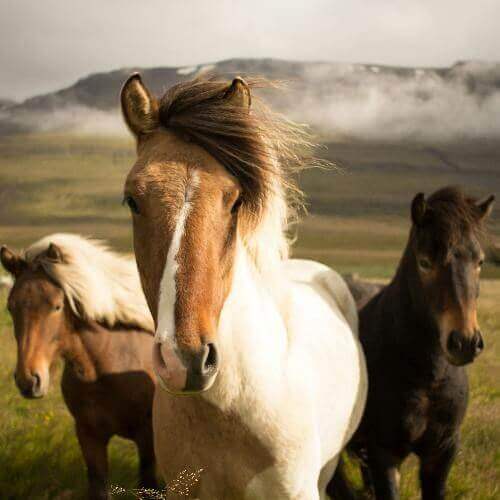 Источник: Unsplash