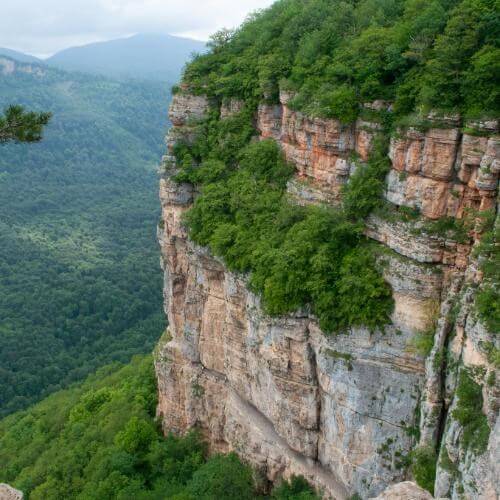 Фото: от партнёра.