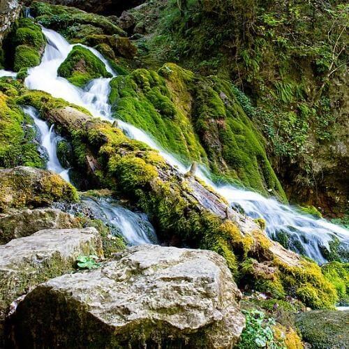 Фото: Alexey Komarov, CC BY 3.0 https://creativecommons.org/licenses/by/3.0, via Wikimedia Commons