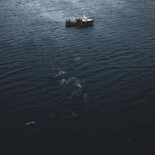 Фото от партнёра.