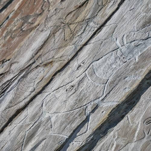 Источник: региональный фотобанк Кемеровской области