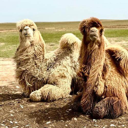 Фото от партнёра.