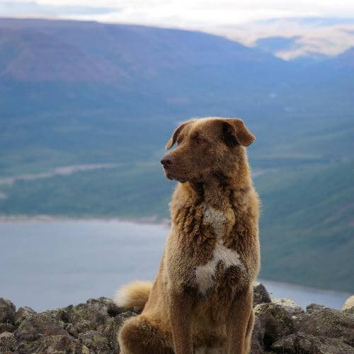 Источник: от партнёра