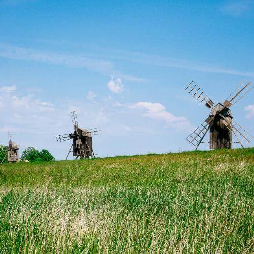 Источник: Unsplash