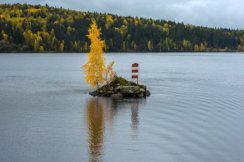 Фото: Алексей Задонский, CC BY-SA 4.0 https://creativecommons.org/licenses/by-sa/4.0, via Wikimedia Commons