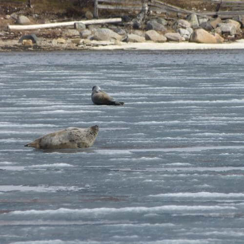 Фото от партнёра.