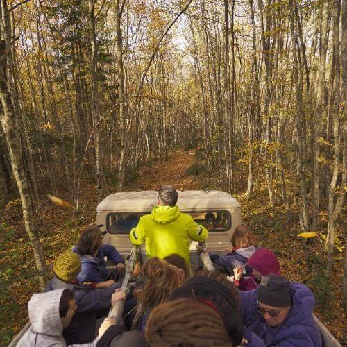 Фото: от партнёра.