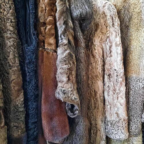 Фото от партнёра.