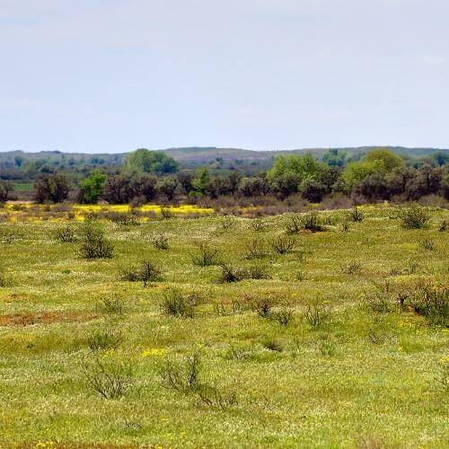 Фото: Alexxx1979, CC BY-SA 4.0 https://creativecommons.org/licenses/by-sa/4.0, via Wikimedia Commons