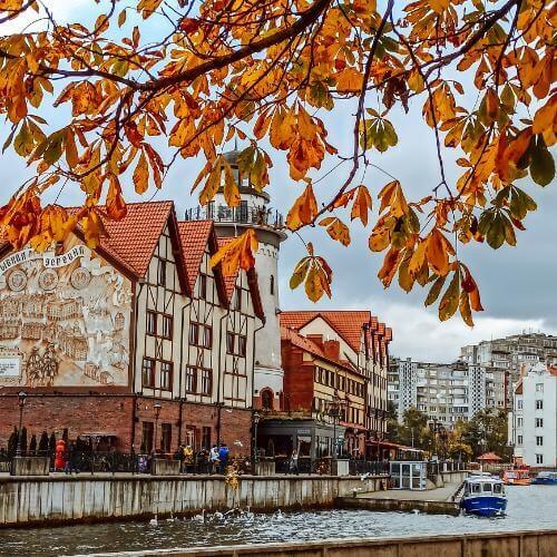 Фото от партнёра.