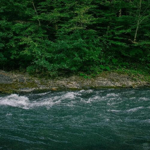 Источник: Unsplash