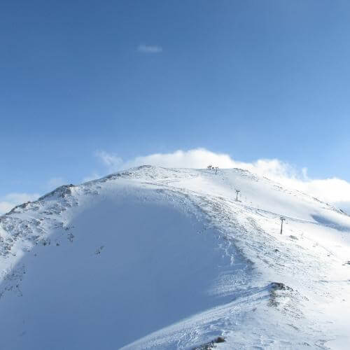 Фото: от партнёра.