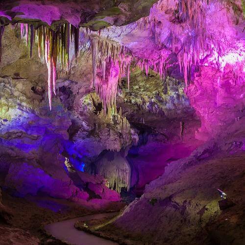 Фото: Zysko serhii, CC BY-SA 4.0 https://creativecommons.org/licenses/by-sa/4.0, via Wikimedia Commons